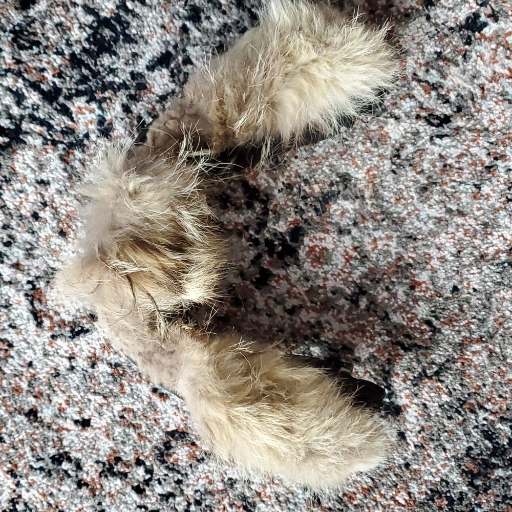 Fur Only - Auth Canada Goose Coyote Fur Trim